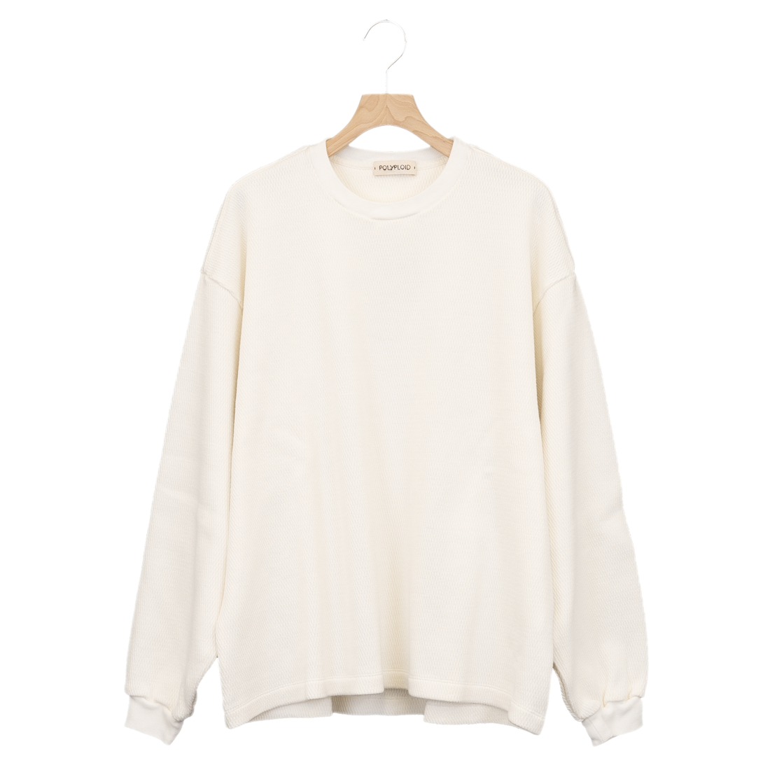 POLYPLOID / OVERSIZE LONGSLEEVE B – carol ONLINE STORE