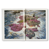 book / THERE IS A PLANET. TEXTS AND PHOTOGRAPHS by Ettore Sottsass