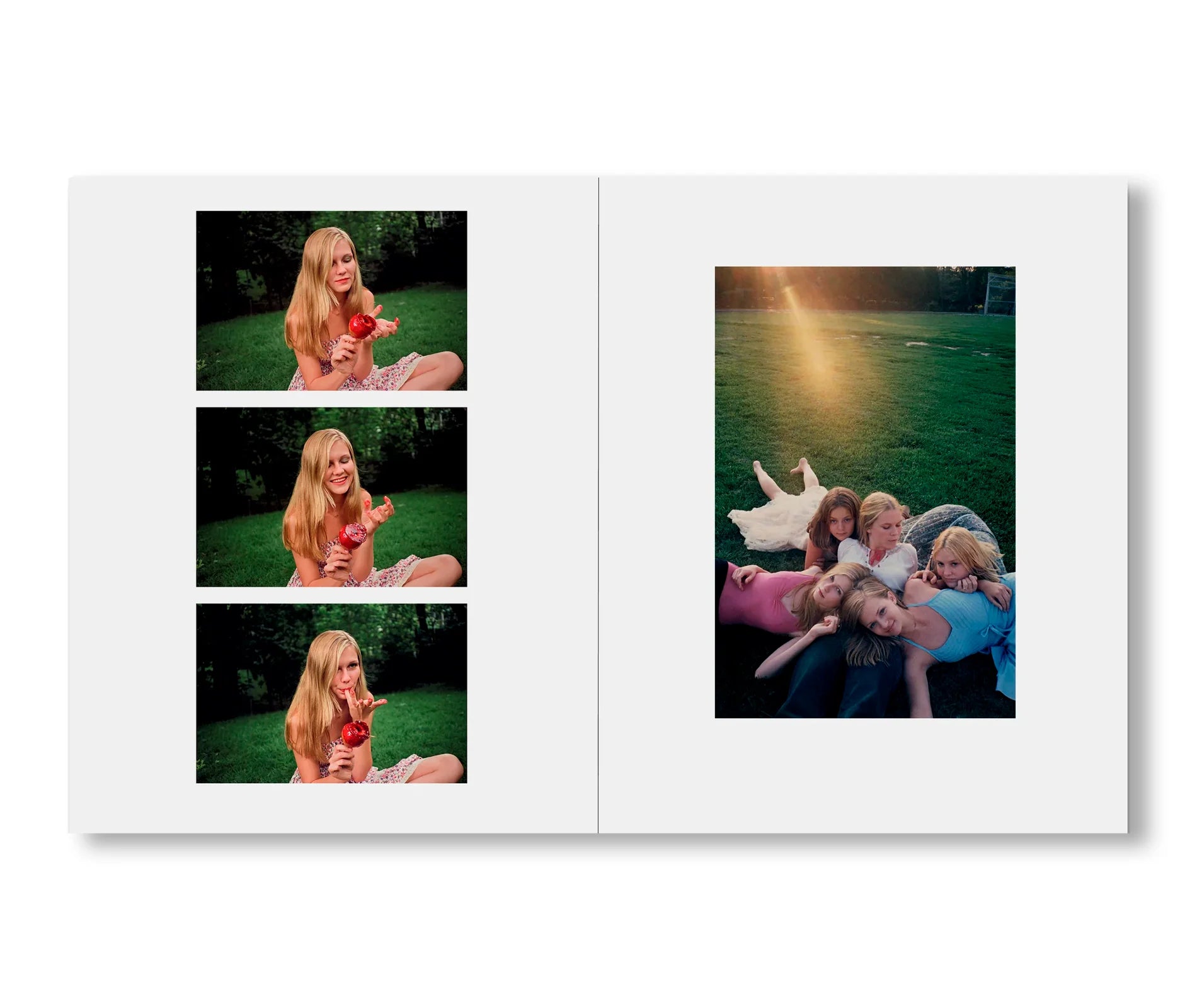 book / THE VIRGIN SUICIDES by Sofia Coppola