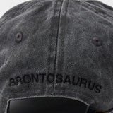 ESSAY / SOUVENIR CAP