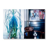 book /  APARTAMENTO ISSUE #35 Spring/Summer 2025