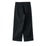 POLYPLOID / PAINTER PANTS C