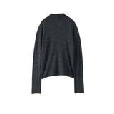 ERiKOKATORi / wool sheer high neck top