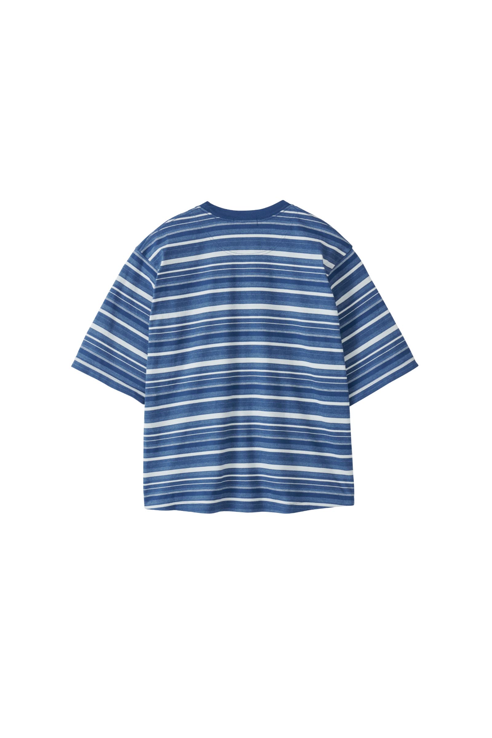 POLYPLOID / T SHIRT B – carol ONLINE STORE